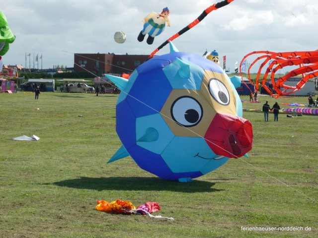 Ferienwohnungen und Ferienhäuser in Norddeich  - Drachenfest in Norddeich