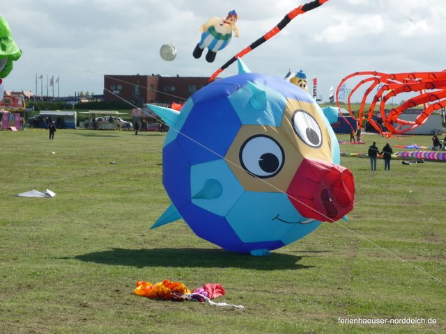 Ferienwohnungen und Ferienhuser in Norddeich  - Drachenfest in Norddeich