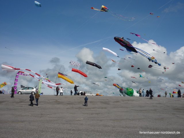 Ferienwohnungen und Ferienhäuser in Norddeich - Drachenfest in Norddeich