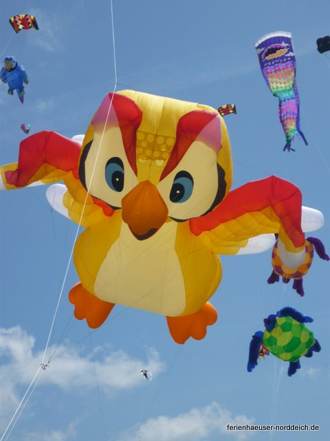 Ferienwohnungen und Ferienhäuser in Norddeich
