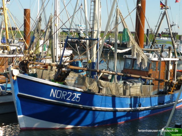 Ferienwohnungen und Ferienhuser in Norddeich  - Fischereihafen Norddeich