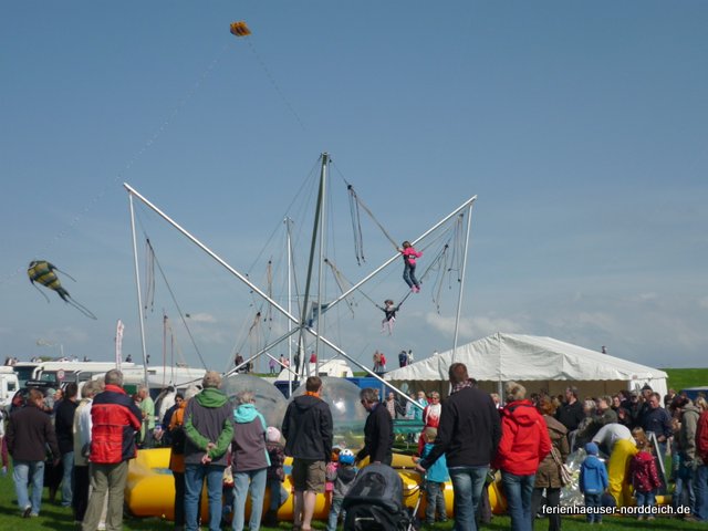 Ferienwohnungen und Ferienhäuser in Norddeich  - Surfschule Norddeich